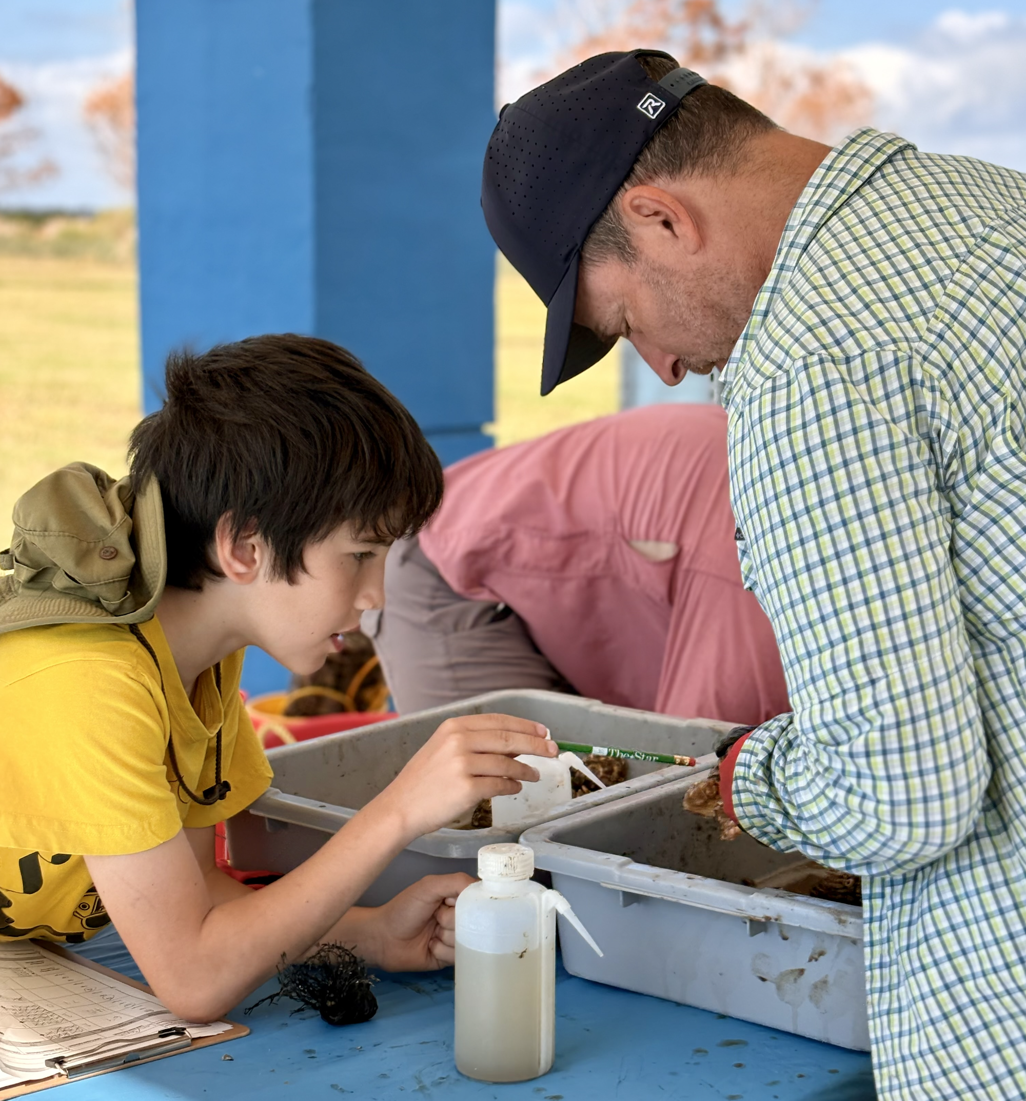 Volunteers supporting oyster habitat restoration