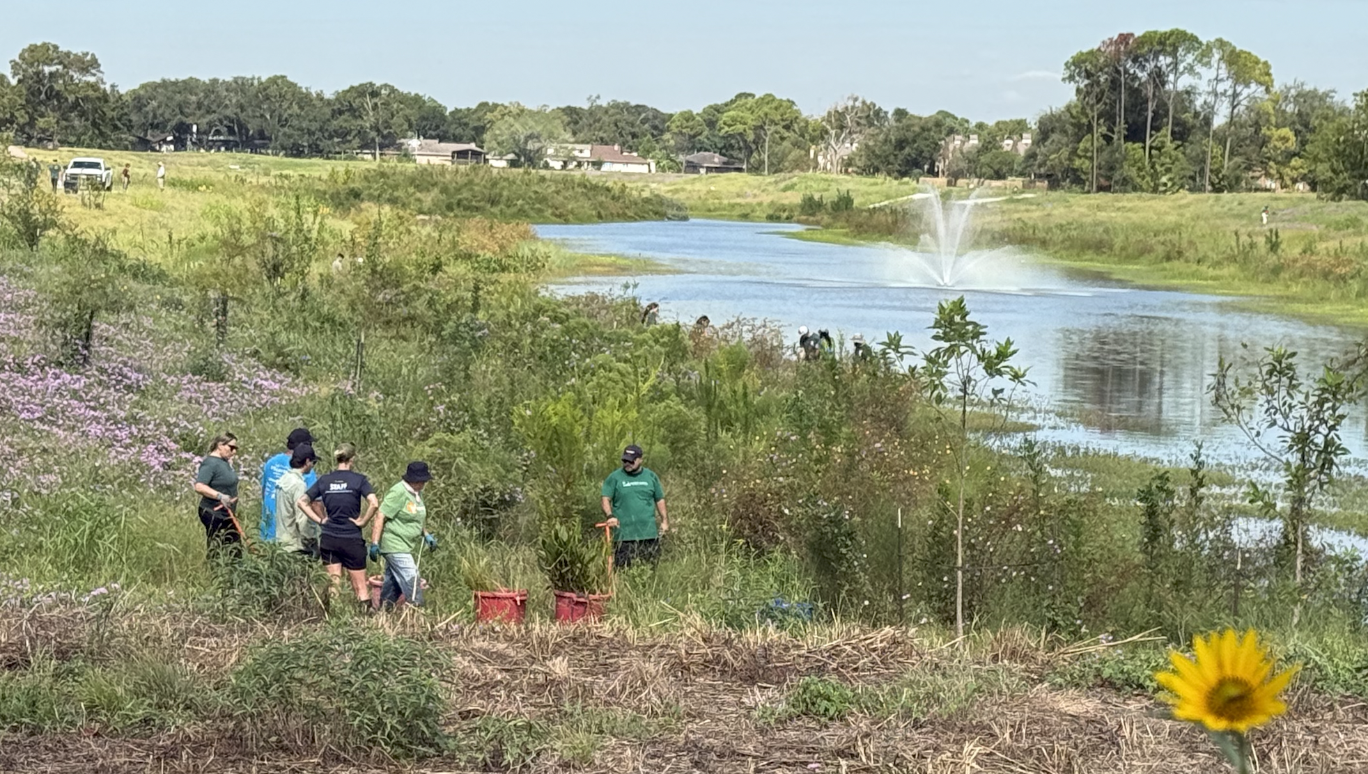 Volunteers restoring wetland habitat at Exploration Green