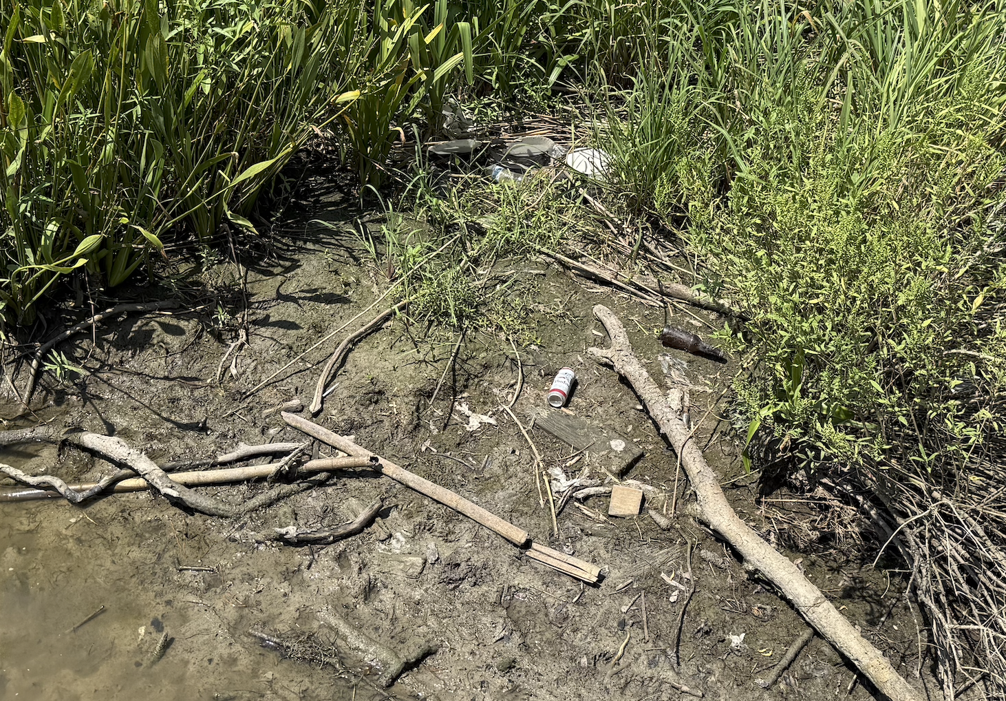 Volunteers will complete a debris cleanup before planting at Paul Hopkins Park