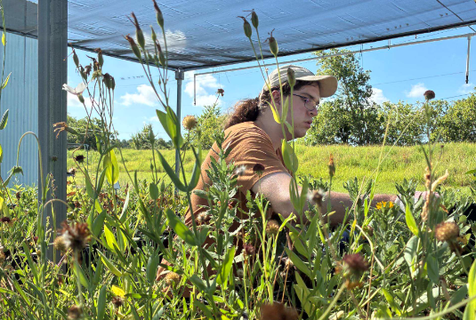 Volunteers working in nursery