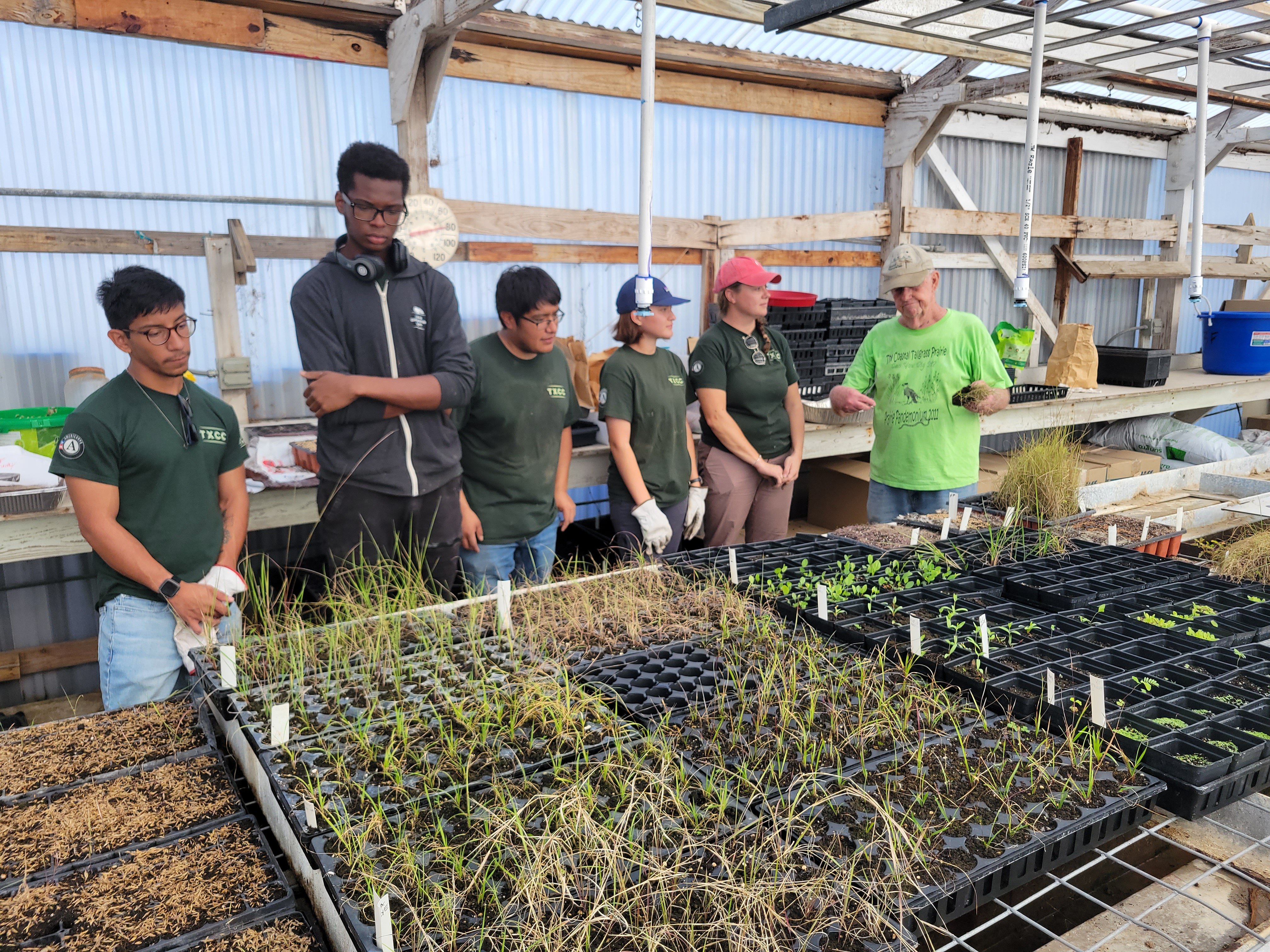 Volunteers working in nursery