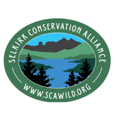 Agency Logo