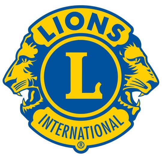 Organization Logo