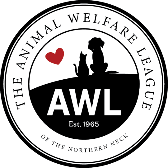 Organization Logo