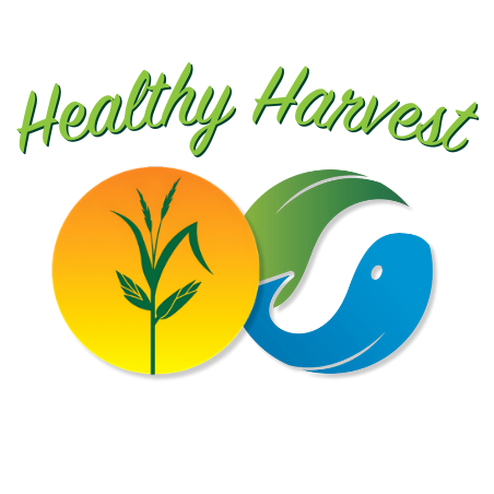 Organization Logo