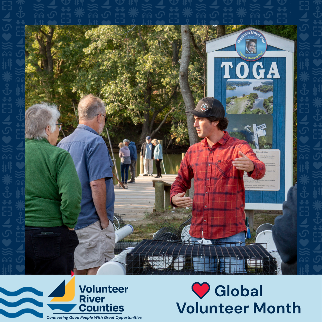 toga-volunteer-month-3-1.png