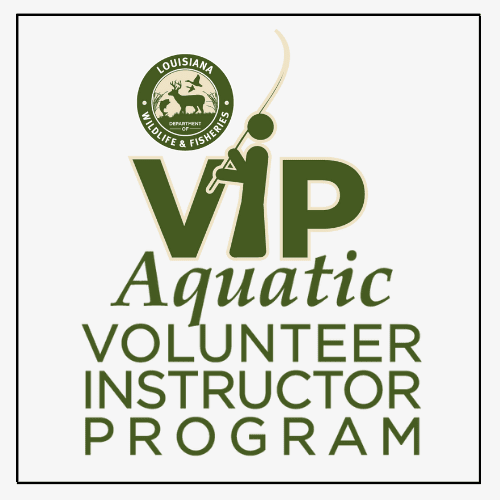 Explore volunteer opportunities with our Aquatic VIP program