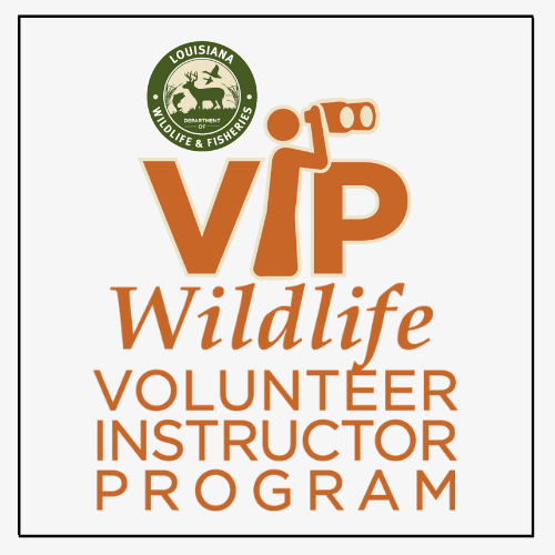 Explore volunteer opportunities with our Wildlife VIP program