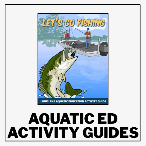 Explore volunteer opportunities with our Aquatic Ed Activity Guides