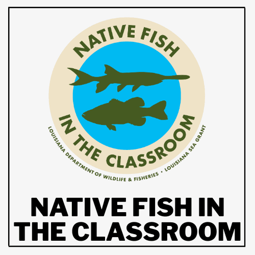 Explore volunteer opportunities with our Native Fish In the Classroom program