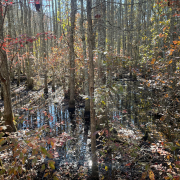 Location Logo