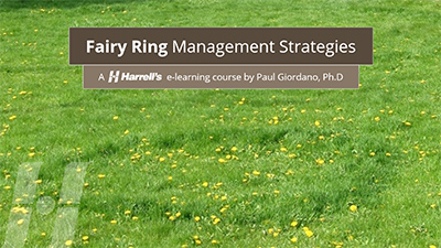 Fairy Ring Management Strategies