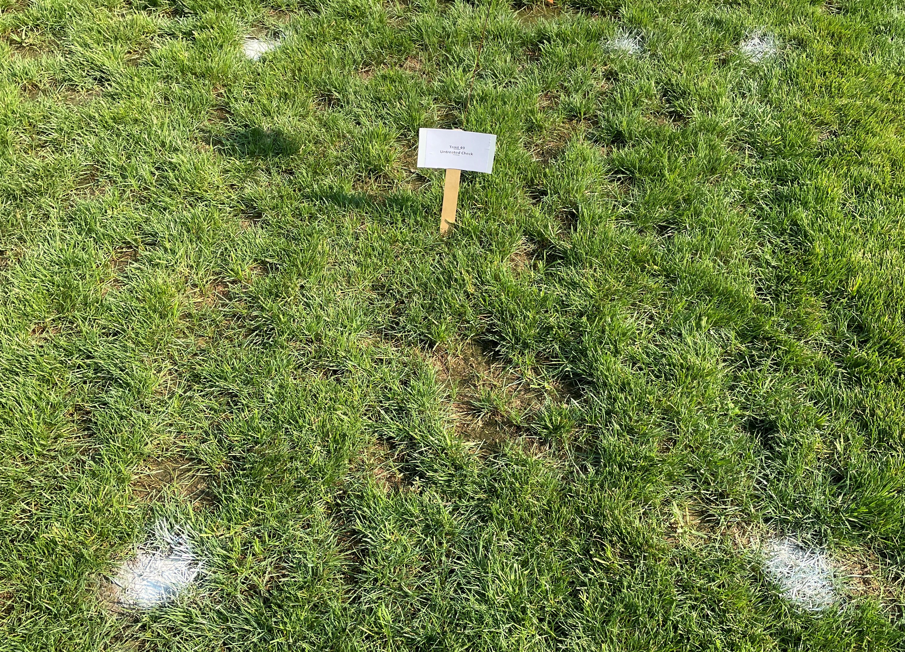 Research Update: Title Phyte Systemic Fungicide