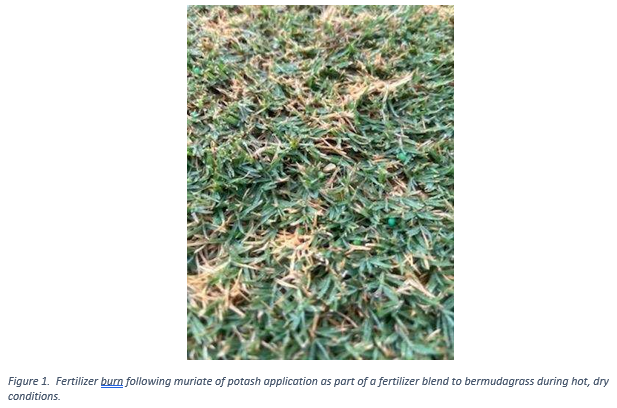 The POLYON® 0-0-50 Difference
