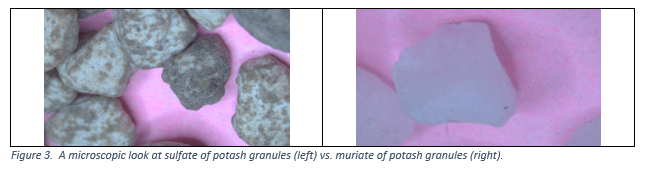 The POLYON® 0-0-50 Difference