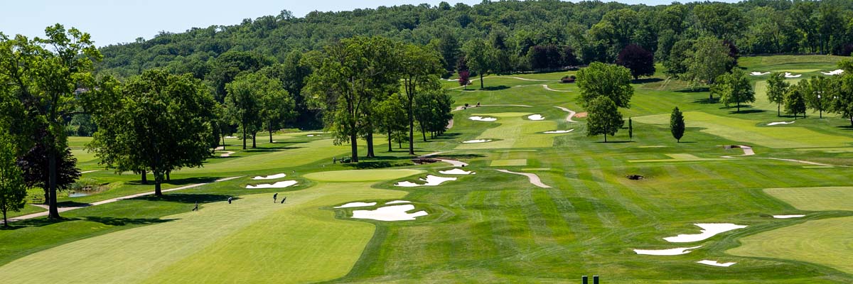 Keep Your Turf Lush and Protected - Harrell's Fairway Color Program