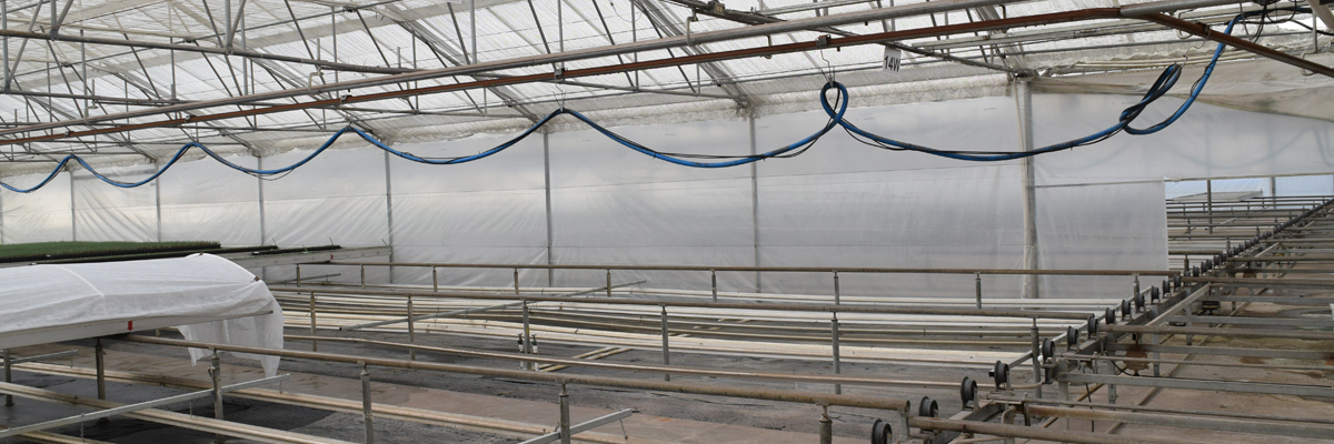 Greenhouse Operations - Start Clean, Stay Clean.