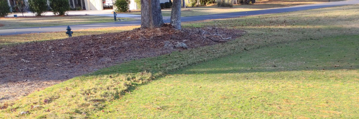 Poa annua Management in Dormant Bermudagrass – What’s the Answer?
