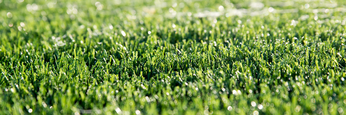 Herbicides – Take Care of the Basics