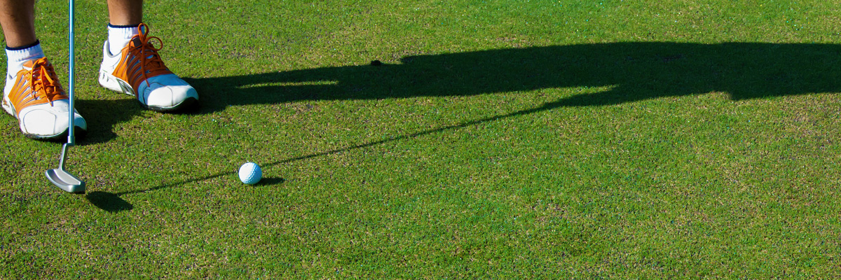 Phosphite Basics: How Title Phyte Works to Control Turf Diseases
