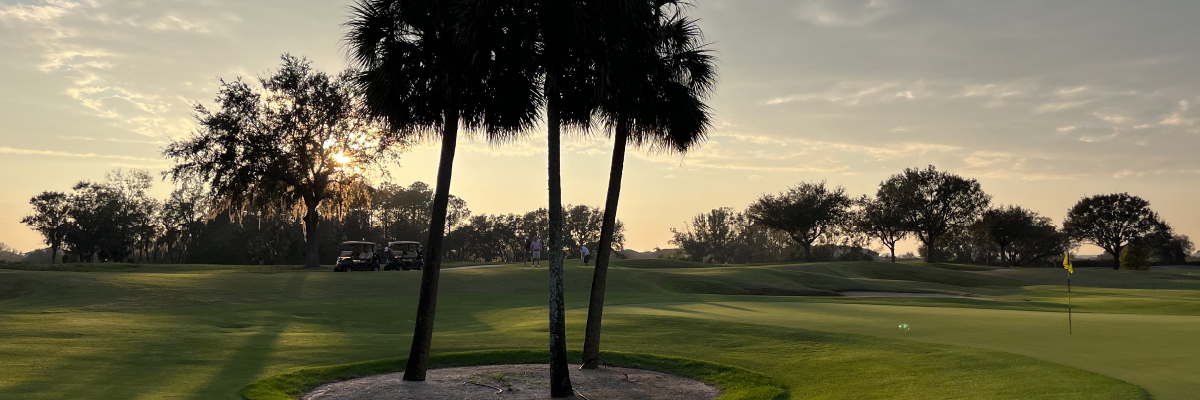Silicon Benefits for Turfgrass | Field Study Update Summer 2022: Bentgrass – Bermudagrass