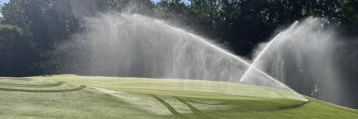 Harrell's HydroMAX® Fleet®100: A Wetting Agent's Positive Effect on Overall Plant Health