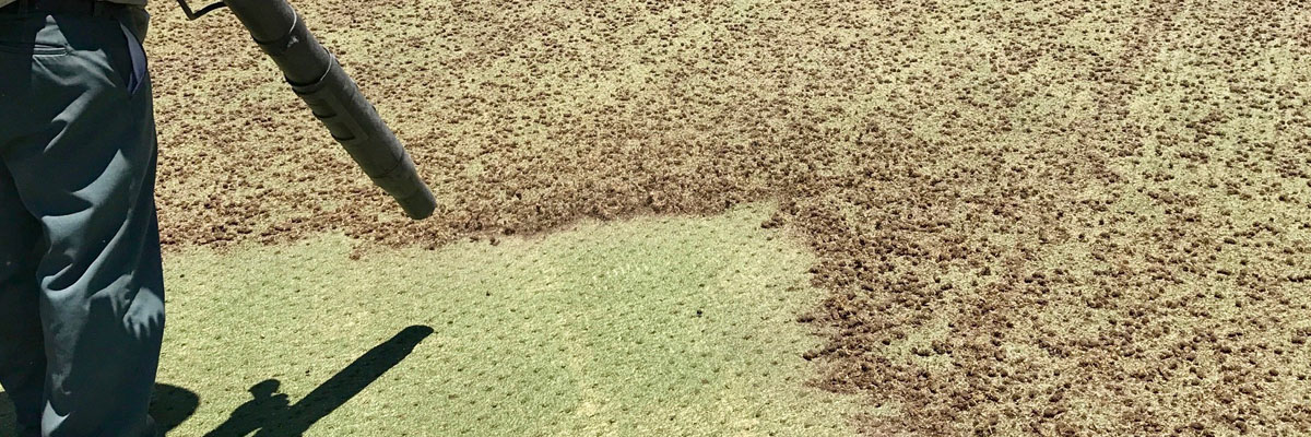 The Aerification 1, 2, 3