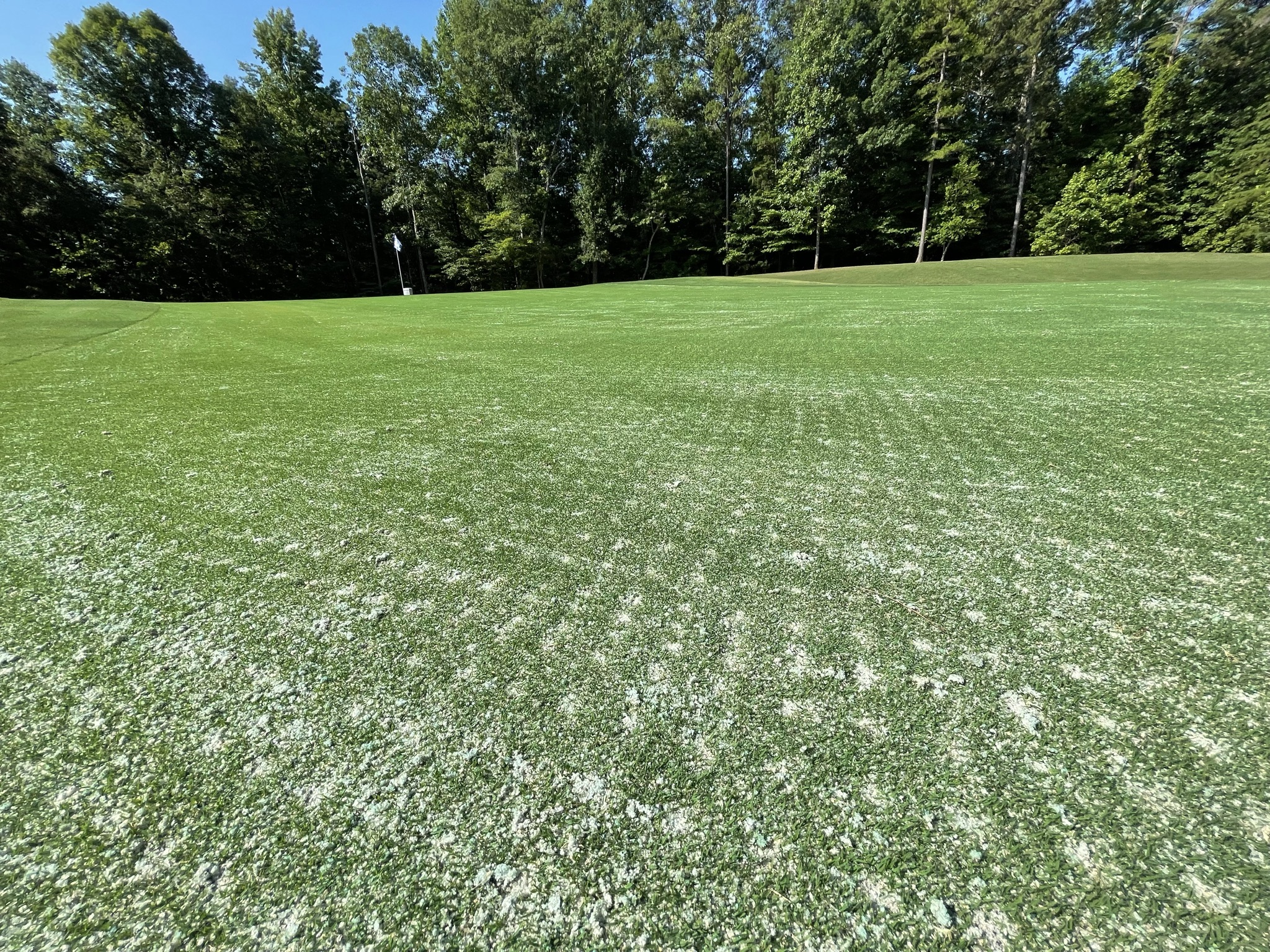 The POLYON® 0-0-50 Difference