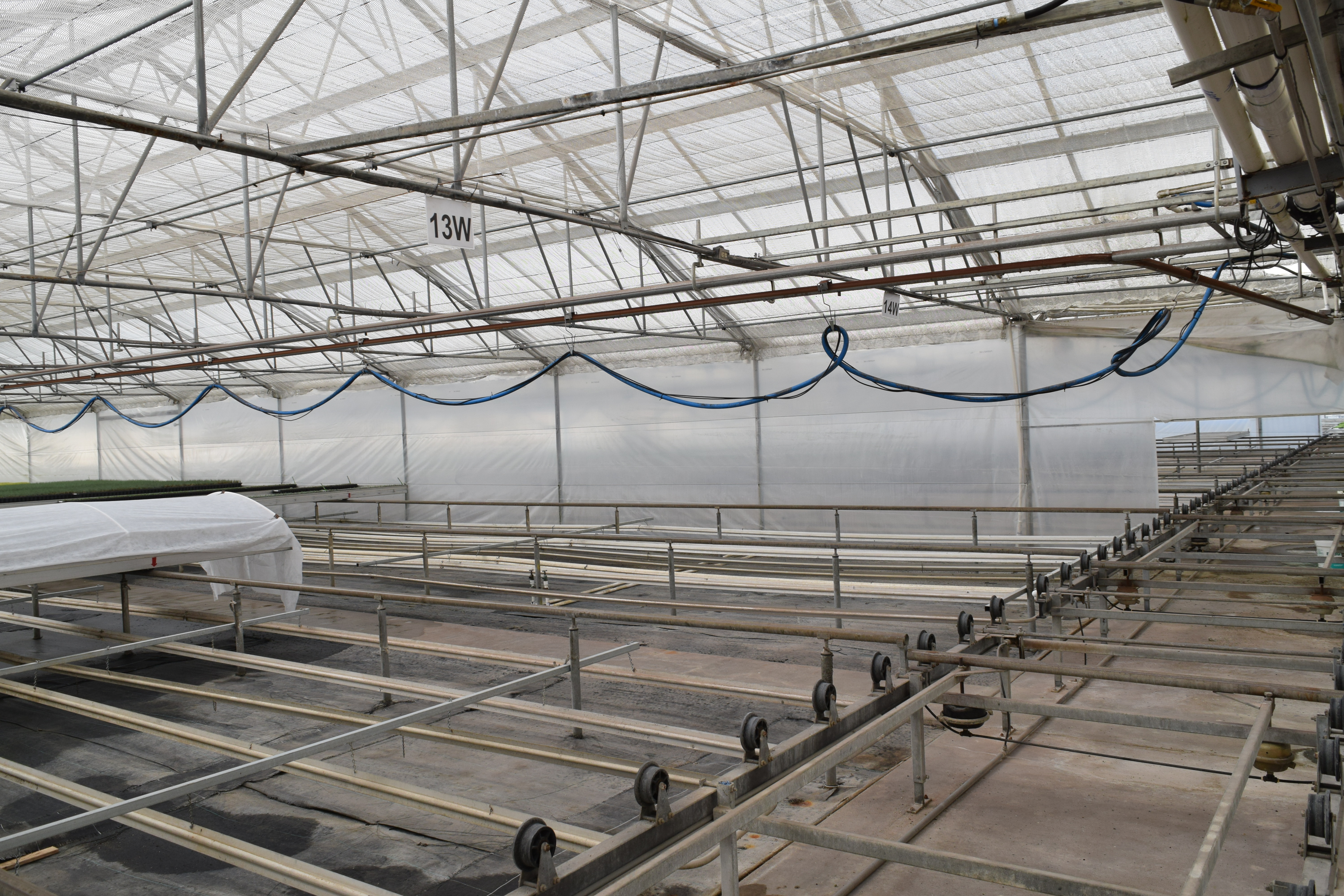 Greenhouse Operations - Start Clean, Stay Clean.