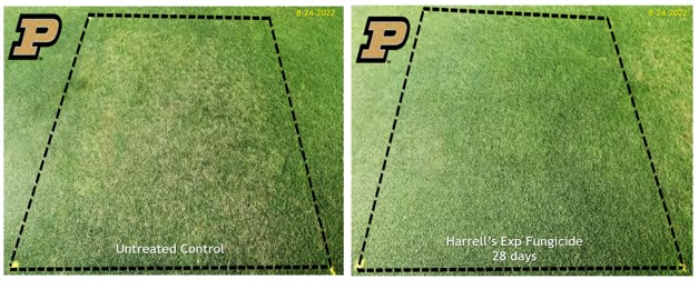 2022 Turfgrass Research Recap - A Few Highlights from the 2022 Harrell’s Field Research Season