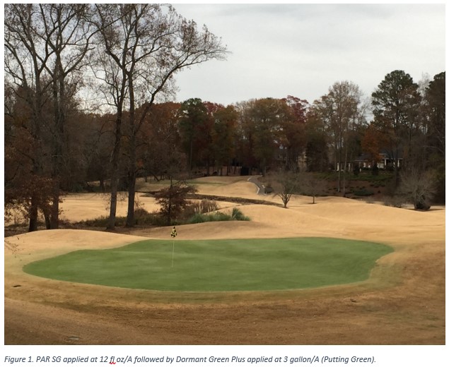 Driving Color When It's Cold Outside | A Balanced Approach to Golf Course Turf Color
