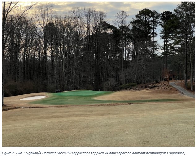 Driving Color When It's Cold Outside | A Balanced Approach to Golf Course Turf Color