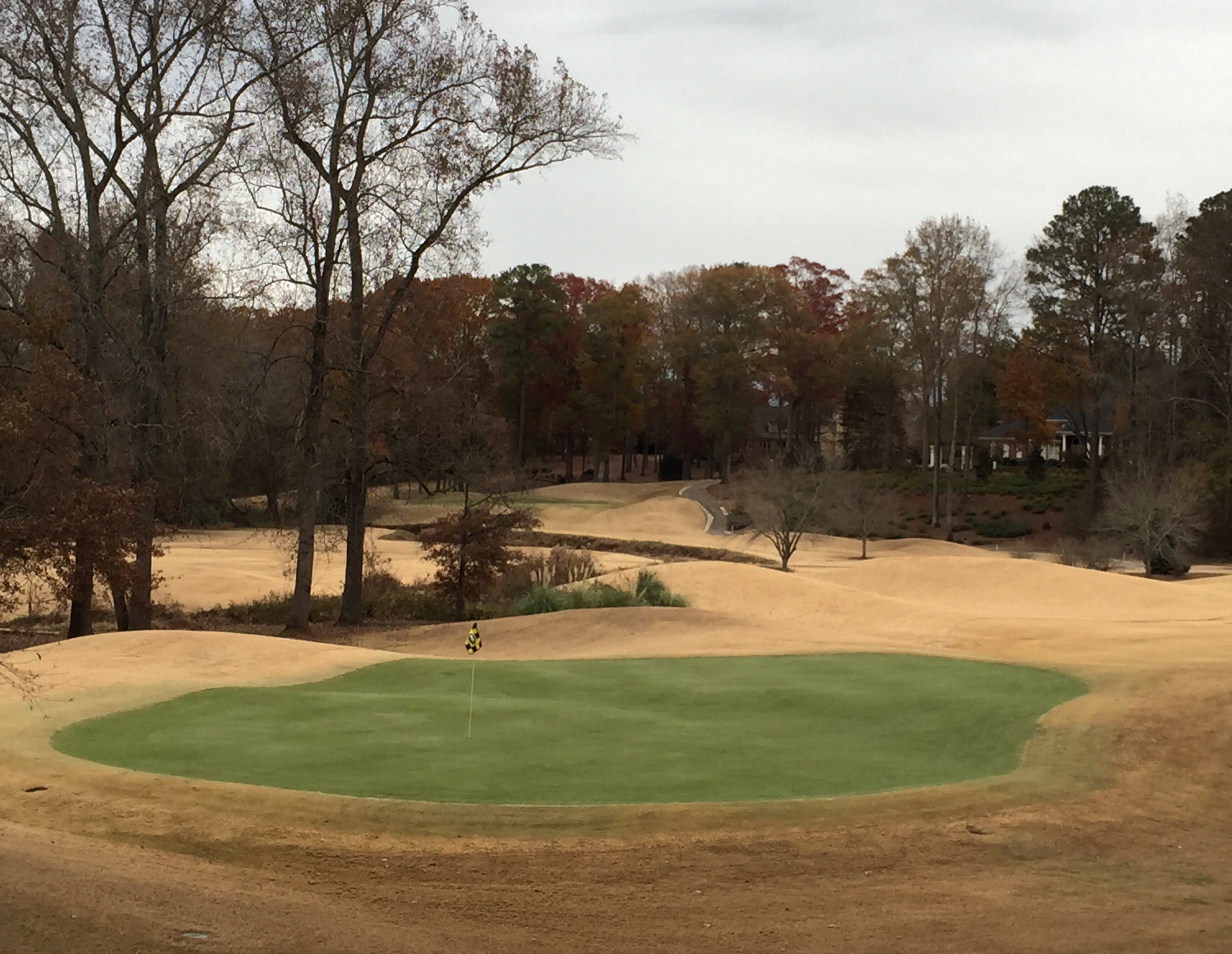 The POLYON® 0-0-50 Difference