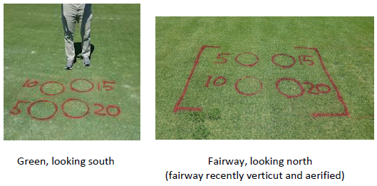 Using Sulfur to Reduce Soil pH in Established Turfgrass