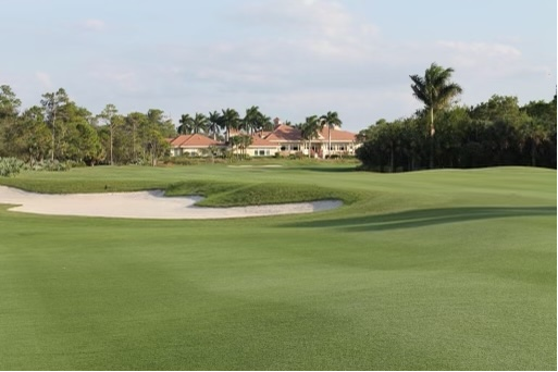 Keep Your Turf Lush and Protected - Harrell's Fairway Color Program