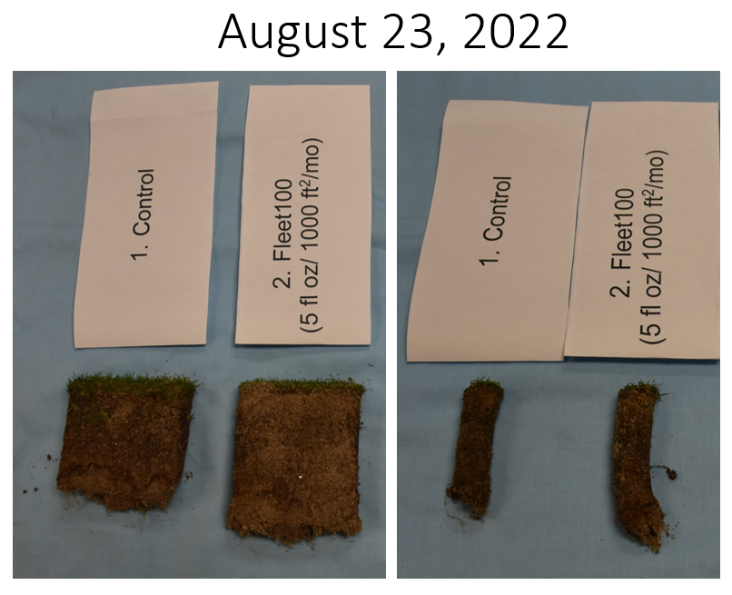 Harrell's HydroMAX® Fleet®100: A Wetting Agent's Positive Effect on Overall Plant Health