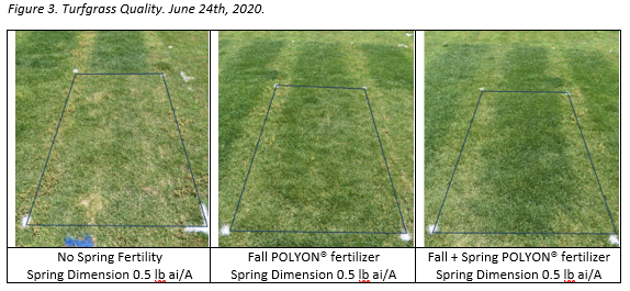 Fall Fertility for Spring Success - Apply Now to Enhance Quality Later