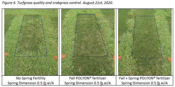 Fall Fertility for Spring Success - Apply Now to Enhance Quality Later