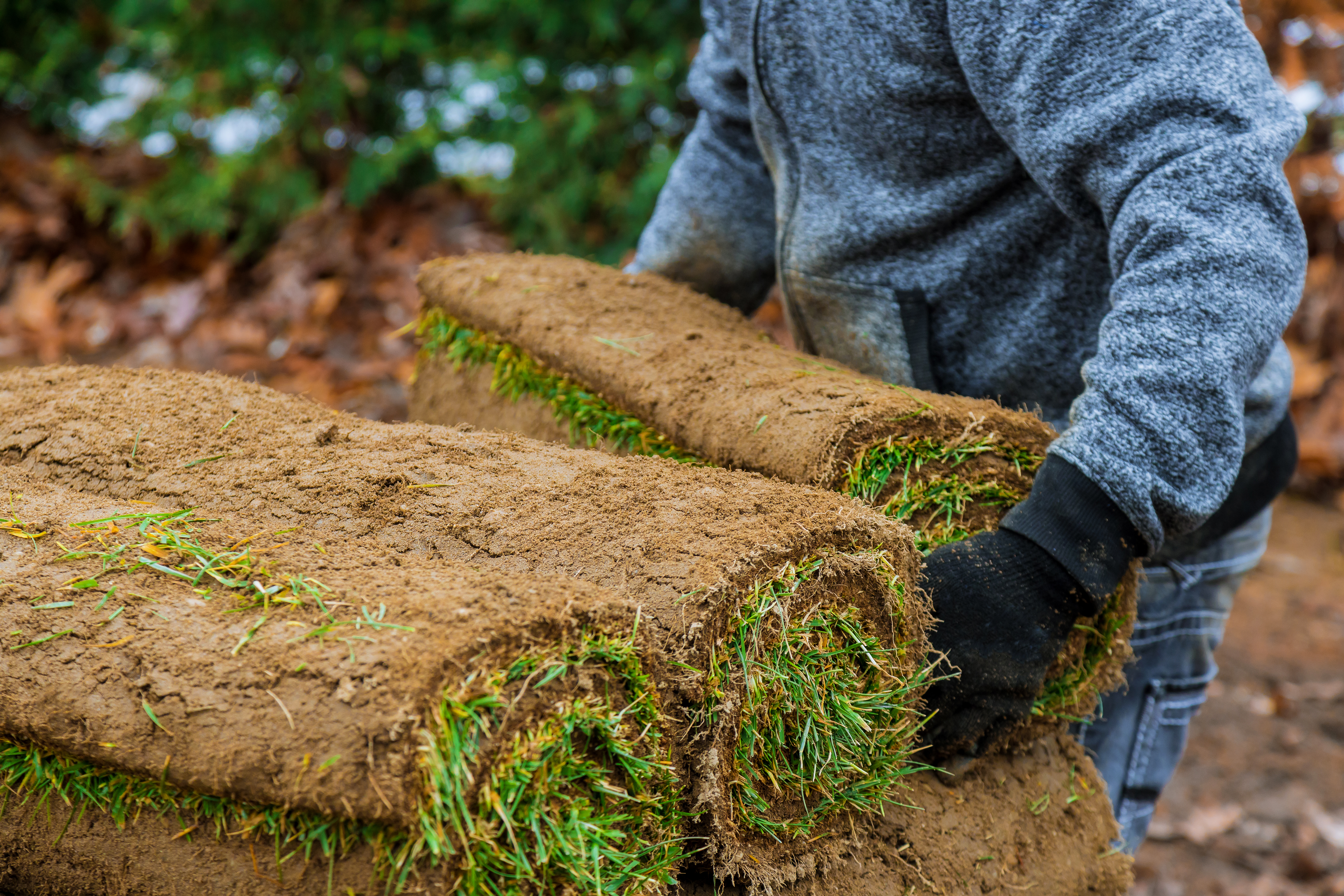 A Sit Down with Carolina Fresh Farms and New Life Turf