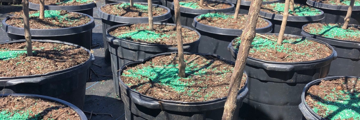 POLYON® for Ornamentals – The Ornamental Easy Button<br data-mce-bogus=