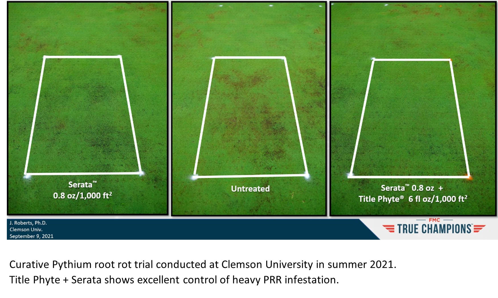 Phosphite Basics: How Title Phyte Works to Control Turf Diseases