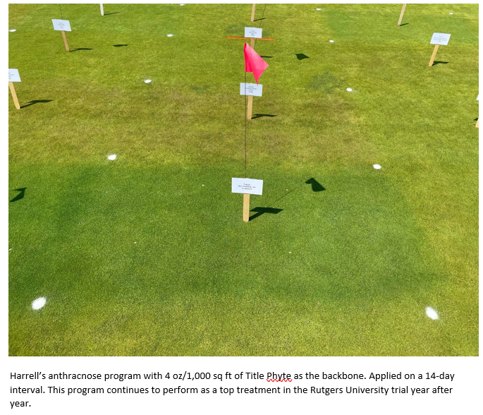 Phosphite Basics: How Title Phyte Works to Control Turf Diseases