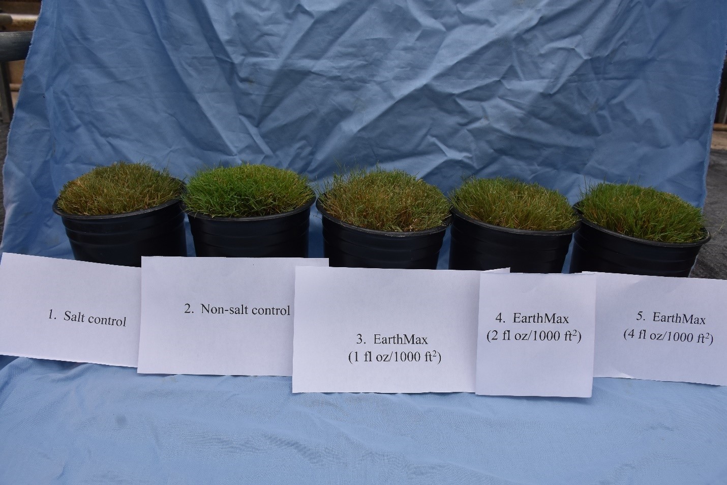 EarthMAX® Organic Mitigates Salinity Stress & Increases Root Biomass Over Time
