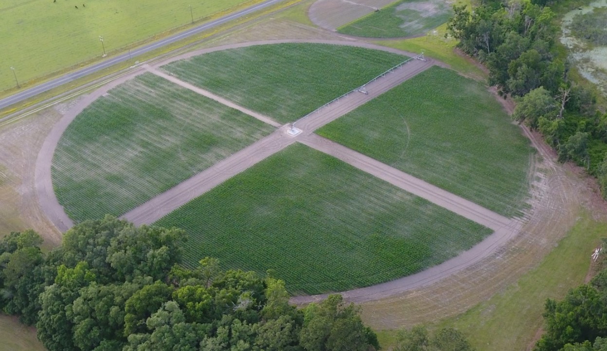 POLYON® Nitrogen Efficiency in Corn