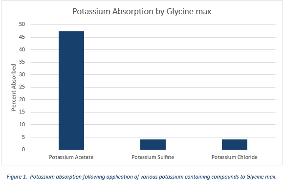 Foliar Potassium Absorption