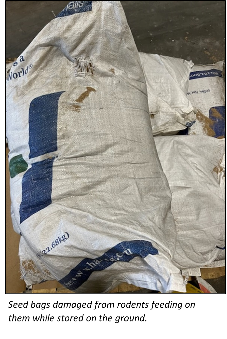 Spring Cleaning - Are These Products Still Any Good?&nbsp;
