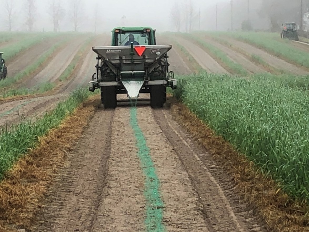 POLYON® Production in Watermelon Produces Surprising Results