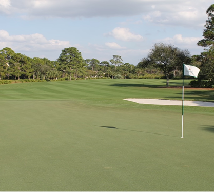 Keep Your Turf Lush and Protected - Harrell's Fairway Color Program