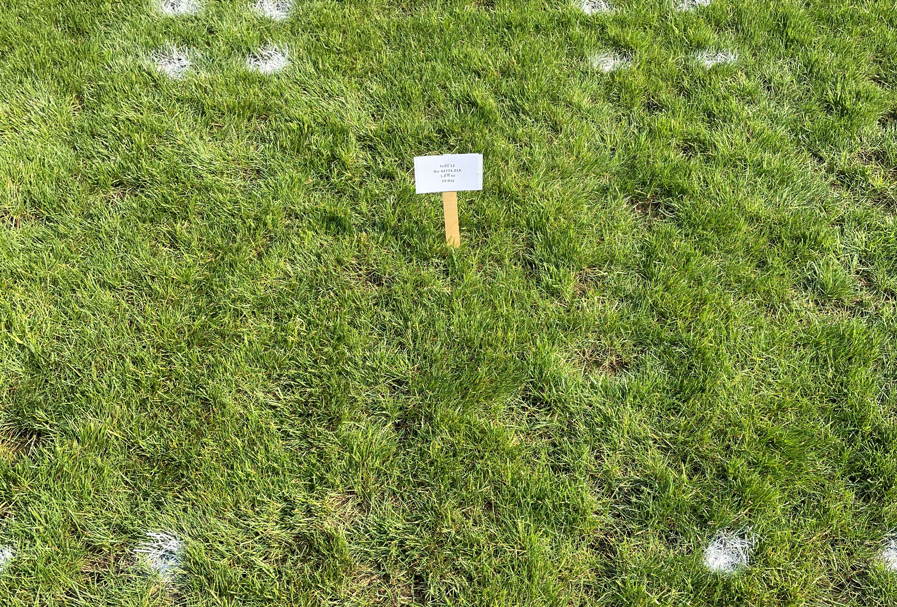 Research Update: Title Phyte Systemic Fungicide