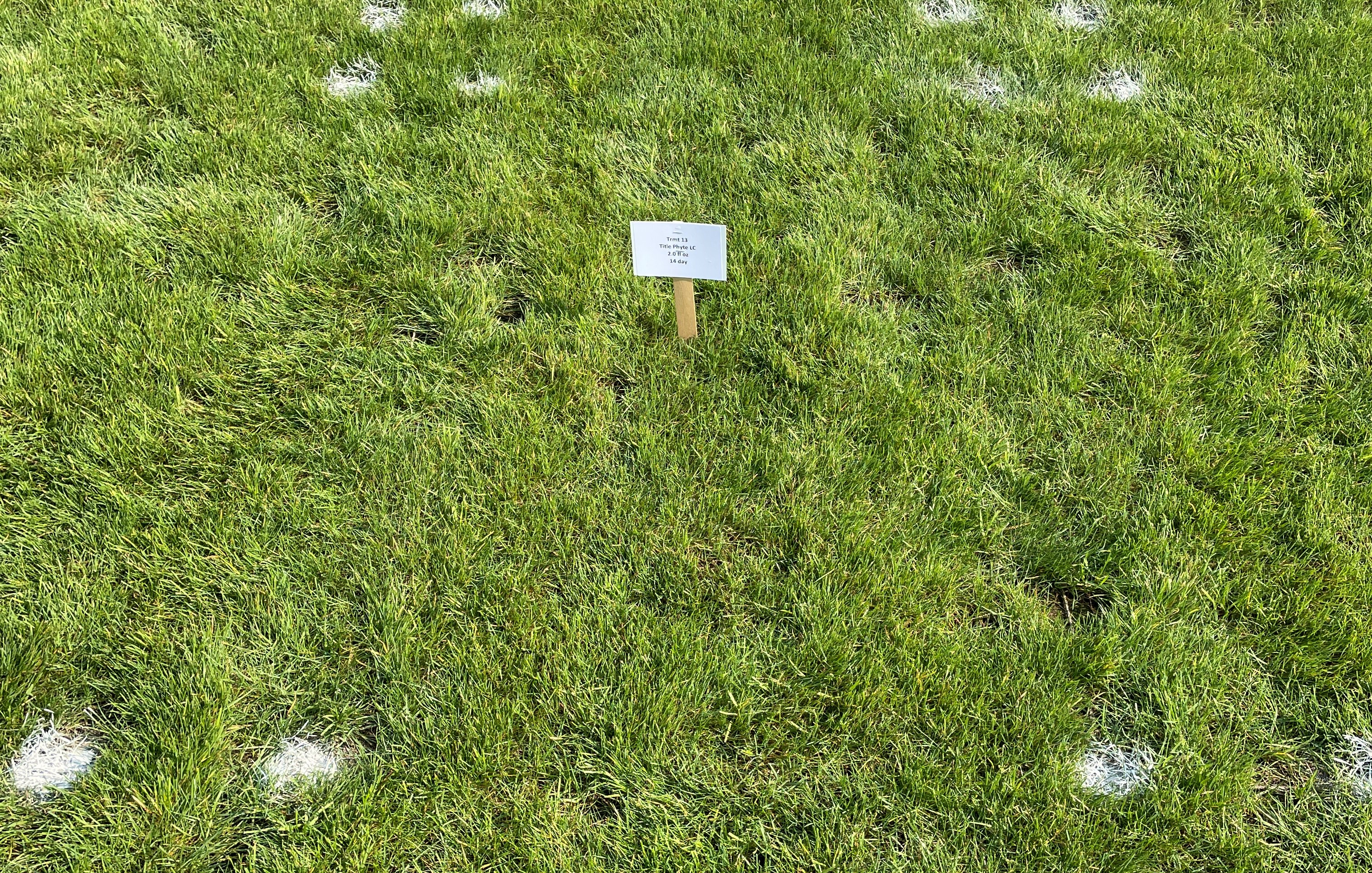 Research Update: Title Phyte Systemic Fungicide